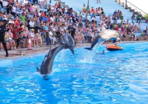 Dolphin World Hurghada